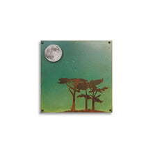 "Spring Moon Cypress"